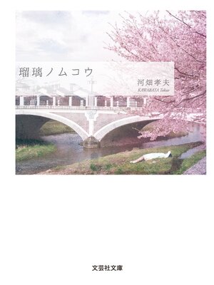 cover image of 瑠璃ノムコウ